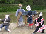 2008.5.11.高根山ばら園、土百姓花園（ルピナス） 040.jpg